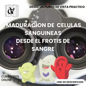 Imagen de portada para Curso online Maduración de celulas sanguineas desde el frotis de sangre