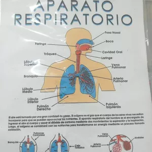 Imagem principal do produto Aparato respiratorio