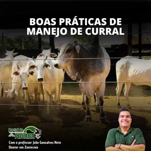Curso Curso Boas Práticas de Manejo de Curral