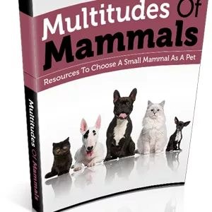 Imagem principal do produto Les multitudes de mammifères