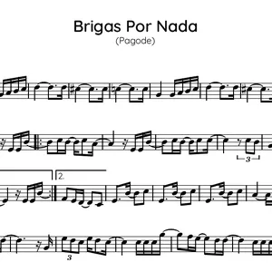 Imagem de capa para o Ebook Partitura Brigas Por Nada - Flauta - Sorriso Maroto