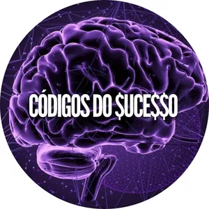 Imagem de capa para o Ebook CÓDIGOS DO SUCESSO