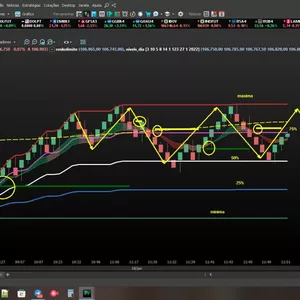 Imagem de capa para o Curso online Setup Vencedor Mini Indice - Grafico Renko