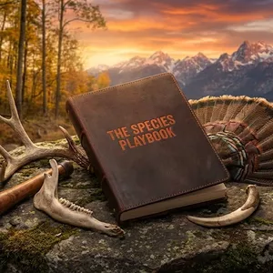 Cover image for Ebook THE SPECIES PLAYBOOK