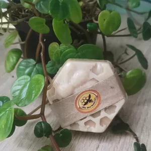 Imagen de portada para Curso online Curso de Jabones Artesanales de Miel, Cera y Propoleo de abejas apis melifera