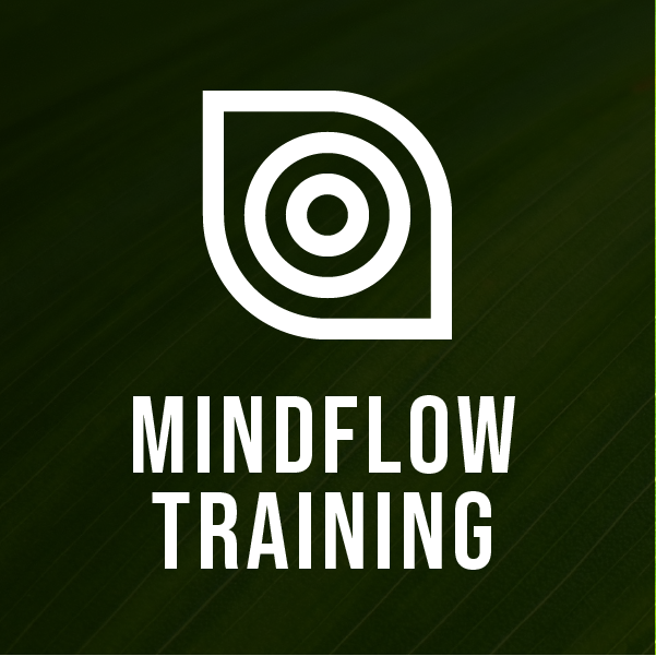 Imagem do curso Mindflow training