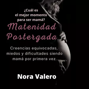 Imagen de portada para Ebook Maternidad Postergada