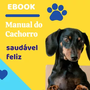 Imagem de capa para o Ebook Manual do Cachorro Saudável e Feliz - Receitas Fáceis e Lista de Atividades