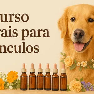 Imagem do curso FLORAIS PARA VINCULOS 