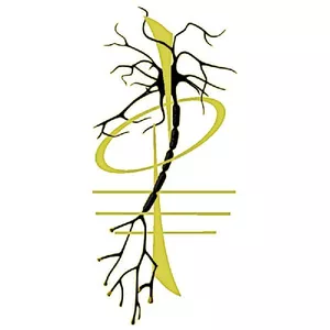 Imagem de capa para o Curso online FILOSOFIA CLÍNICA, Semestres I, II, III e IV - Formação acadêmica.