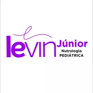 Imagem de capa para o Curso online Levin Júnior 