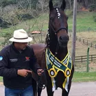Toninho Silva
