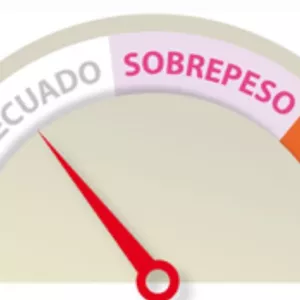 Imagen de portada para Curso online Lograr el peso ideal