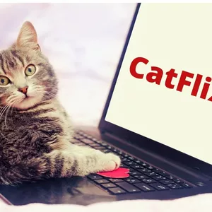 Imagem de capa para o Curso online Catflix 