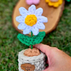 Imagem de capa para o Curso online Vasinho Margarida