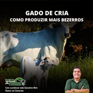 Imagem de capa para o Curso online Curso Gado de Cria - Como produzir mais bezerros