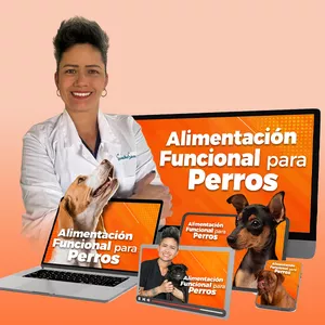 Imagen de portada para Curso online Programa de Alimentación Funcional para Perros