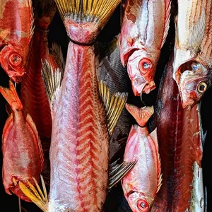 Imagem de capa para o Curso online CURSO DE MATURAÇÃO DE PESCADOS