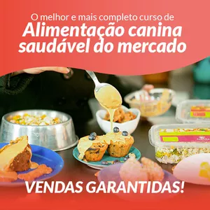 Capa do curso 