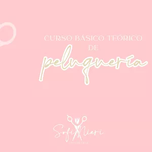 Imagen de portada para Ebook CURSO TEÓRICO BÁSICO DE PELUQUERIA