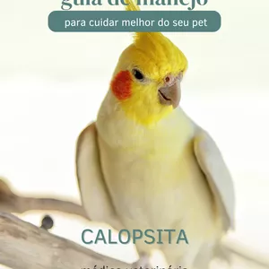 Imagem de capa para o Ebook Guia de Manejo Calopsitas