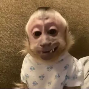 Imagem de capa para o Ebook Correção de redação 