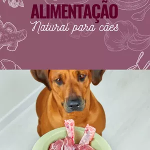 Imagem de capa para o Ebook Alimentos Naturais para cães e seus benefícios