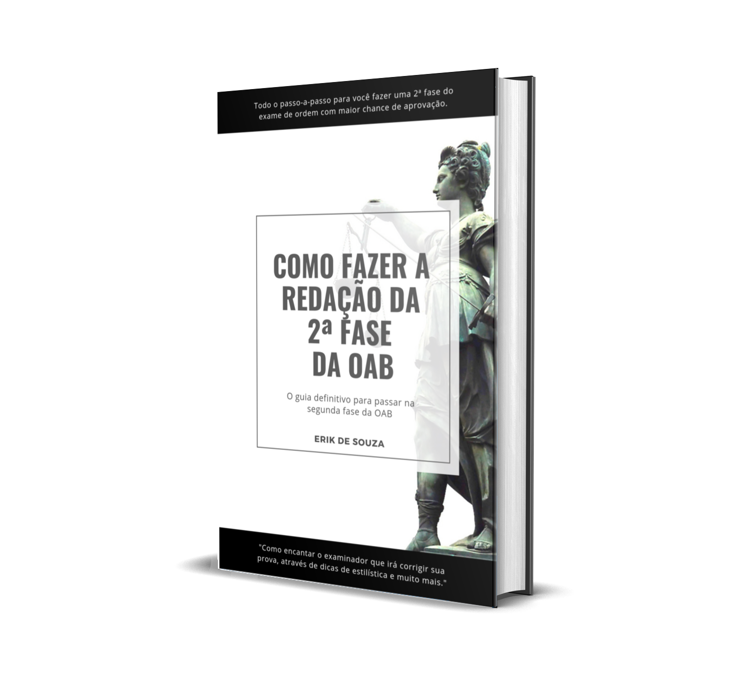 Imagem do curso Como Fazer a Redação da 2ª fase da OAB + Bônus
