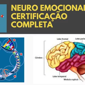 Imagem de capa para o Curso online Neuro Emocional — Certificação completa 