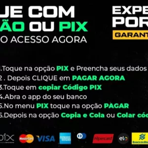 Imagem de capa para o Curso online Pênalty mask 