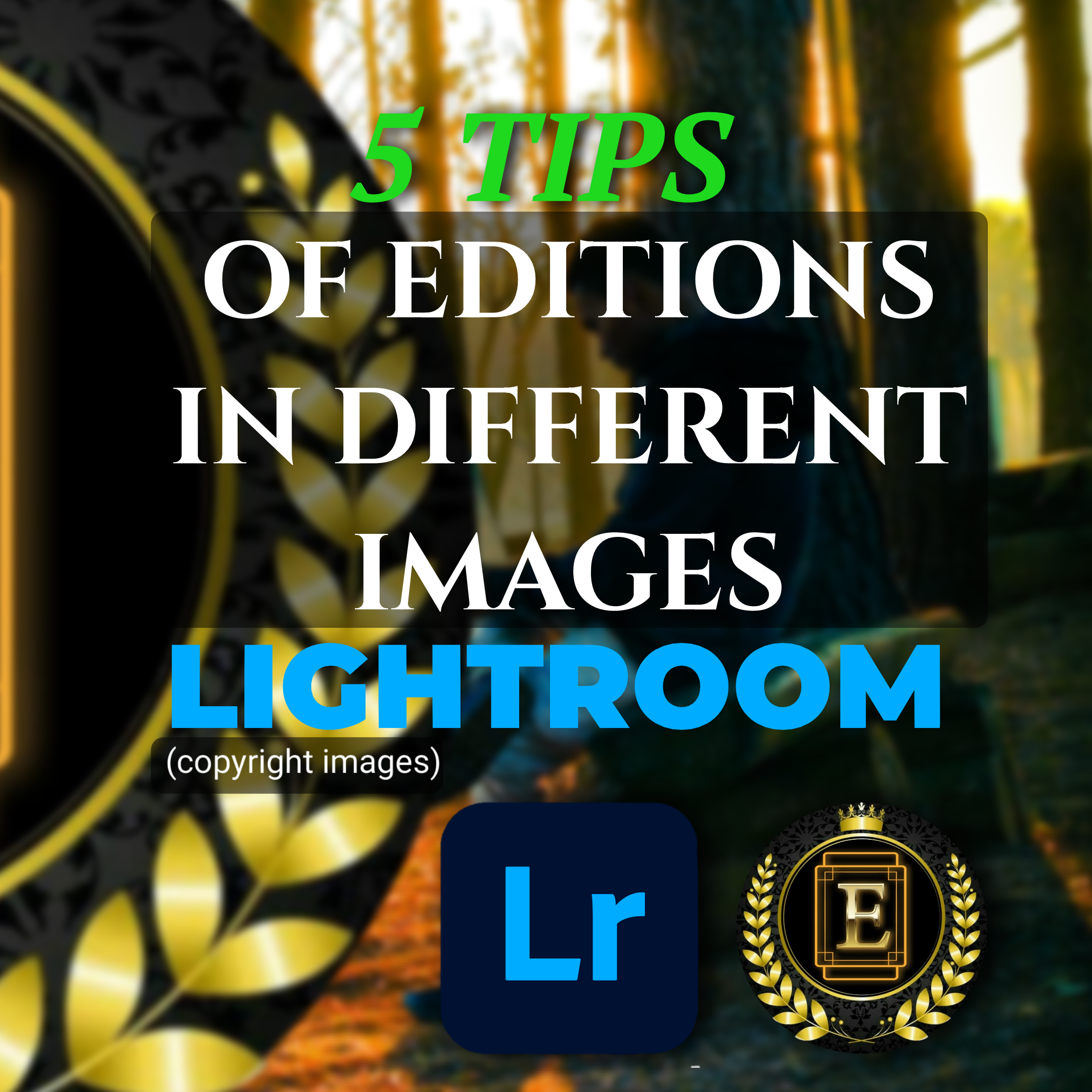5 Editing Tips in LightRoom