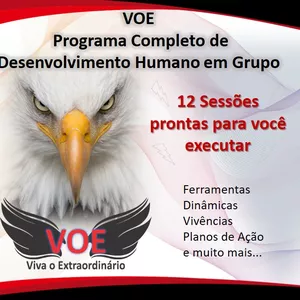 Imagem do curso PROJETO VOE - Viva O Extraordinário