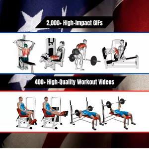 Cover image for Online course 2,000+ Muscle Activation GIFs + 400 HD Exercise Videos