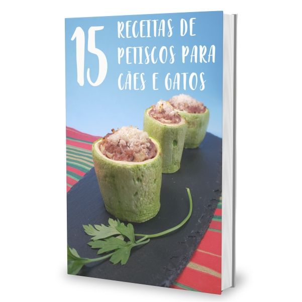 Planner Digital