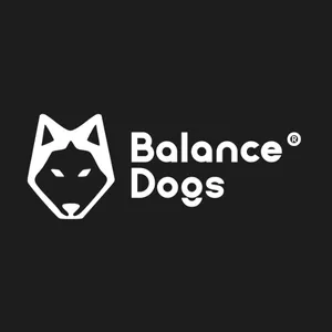 Imagen de portada para Curso online Curso Completo de Balance Dogs (mensualidad)
