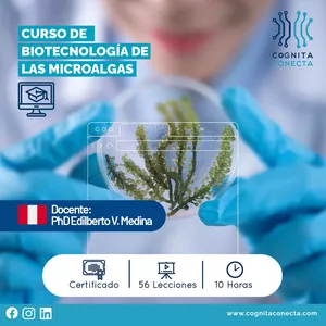 Imagen de portada para Curso online Curso: Biotecnología de las microalgas 