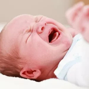 Imagem de capa para o Ebook Solução para dor de barriga de bebê.