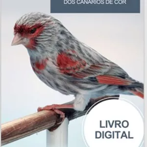 Imagem de capa para o Ebook IDENTIFICAÇÃO DAS CORES DOS CANÁRIOS - Livro Digital