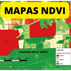 Imagem de capa para o Curso online COMO CRIAR MAPAS NDVI E DE BRINDE MAPAS DE TOPOGRAFIA