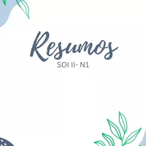 Imagem de capa para o Ebook Resumos N1 SOI II