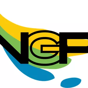 Imagem de capa para o Curso online Nova Geração Na Política