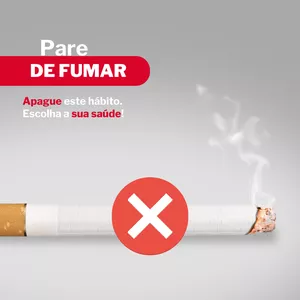 Imagem de capa para o Ebook Pare de Fumar - Apague este hábito. Escolha a sua saúde!