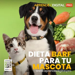 Imagen de portada para Curso online DIETA BARF PARA TU MASCOTA