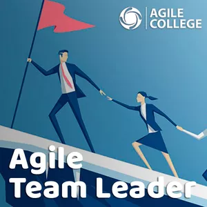 Imagem de capa para o Curso online Agile Team Leader