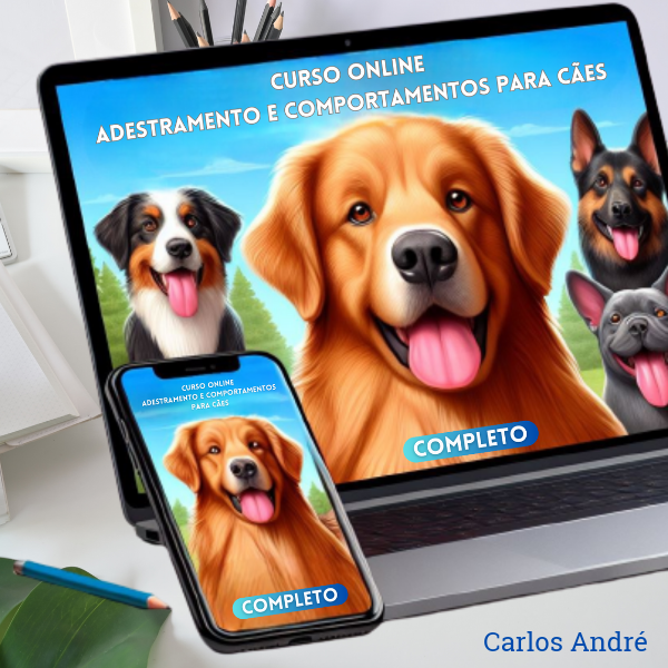 Capa do curso 