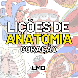 Imagem de capa para o Ebook Lições de anatomia: Coração