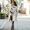 TINA WANG