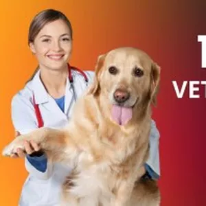 Imagem do curso Técnico em Veterinária