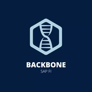 Imagem de capa para o Curso online BACKBONE SAP FI Jr