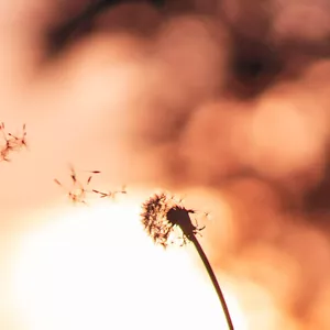 Imagem de capa para o Curso online Aulas Especiais | Capacitação Arte Criativa